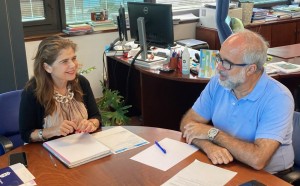 Ingenio presenta en Poltica Territorial del Cabildo siete proyectos que estn paralizados
