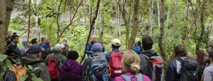 Las Jornadas Forestales de Gran Canaria cumplen 30 aos de anlisis  en los bosques de la Isla