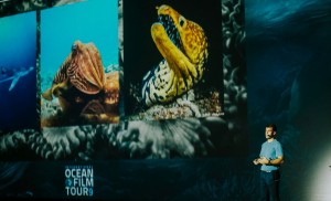 El festival de los ocanos ms importante de Europa pone su broche de oro en Maspalomas