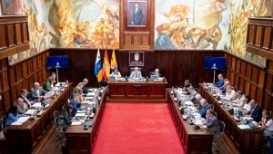 El Cabildo se reafirma en seguir luchando para acabar con la violencia contra las mujeres