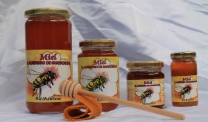 Almendreros de Guayadeque de Ingenio, Mejor Miel de Gran Canaria 2023