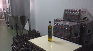 La Almazara de Ingenio cierra con 3.000 litros de aceite 