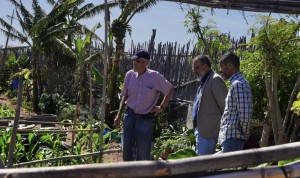 Santa Luc�a presenta un calendario formativo para el sector primario