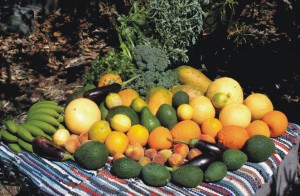 Mogn ofrecer productos de la tierra en la feria Gran Canaria Me Gusta 