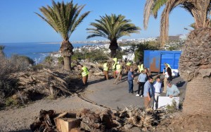 SBT y Foresta trabajan en la restauracin ambiental de Morro Besudo