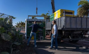 Santa Luc�a ha esterilizado a m�s de quinientos gatos en el �ltimo a�o