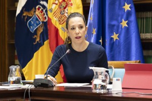 Turismo analiza la quiebra de FTI en Canarias con agentes implicados