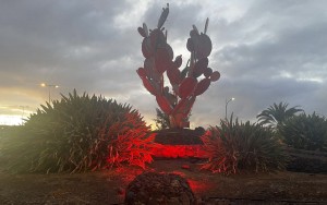 Maspalomas alerta en rojo sobre la enfermedad del hierro 