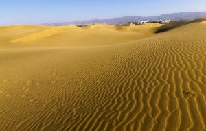 El Cabildo adjudica la oficina tcnica para el plan de mejora Impulsa Maspalomas 