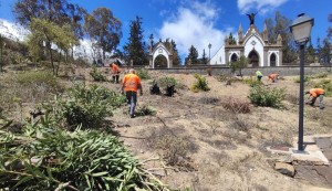 Tunte recupera la zona ajardinada  del Cementerio Parroquial