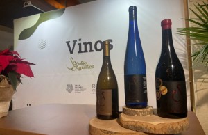 Agimes acoge este viernes la tercera edicin de la Fiesta de la Vendimia