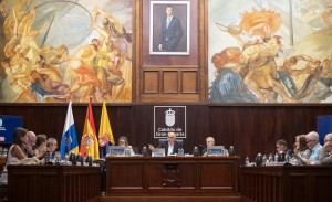 El Cabildo condena la 