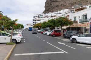Mogn abre el plazo para participar en la VII Feria del Mango y Aguacate del Verano