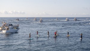 Record de 13 marlines azules en el primer da del Open Pesca de Altura Gran Canaria