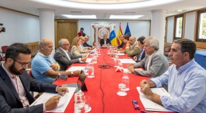 El Pacto Canario por la Inmigracin respalda las medidas del Gobierno a la emergencia migratoria