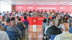 El Comit Regional aprueba por unanimidad la gestin de Torres al frente del PSOE Canarias