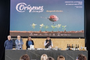 El congreso Orgenes Gran Canaria abre con xito su primera jornada 