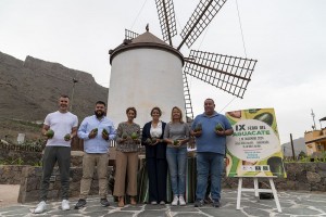 La IX Feria del Aguacate de Mogn pone a la venta ms de 5 toneladas este domingo