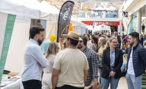 37 empresas y entidades buscan talentos en la Feria de Empleo Job Dating de Mogn