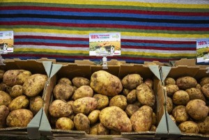 Mndate una papa, pero que sea canaria: campaa para apoyar la produccin local