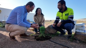  Agimes fertilizar sus jardines con 4.000 kilos de compost fabricado en Las Rosas