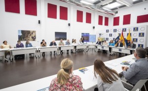 El Cabildo crea una mesa sectorial para derribar barreras en el transporte interurbano