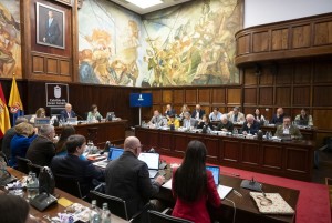 El Cabildo reclama al Gobierno mayor financiacin y dilogo para garantizar la dependencia