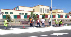 El Tablero se engalana para las fiestas de la Santsima Trinidad
