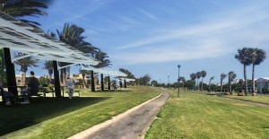 El Cabildo impulsa su mayor proyecto solar y de almacenamiento en Arinaga