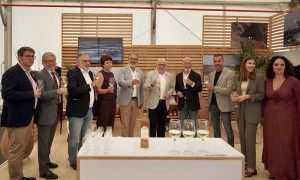 Santa Luca de Tirajana ofrece vino, aceitunas, gofio y queso del pas en Gran Canaria Me gusta
