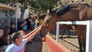 Mogn celebra el Da de la Familia con ms de un centenar de vecinos entre caballos   