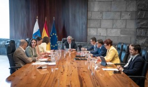Canarias recurre el decreto estatal sobre el Registro nico de viviendas tursticas