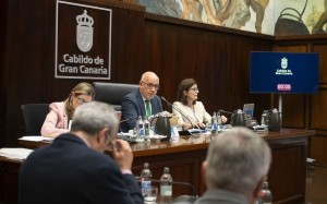 El Cabildo da luz verde a 20 iniciativas centradas en sostenibilidad, movilidad y desarrollo social