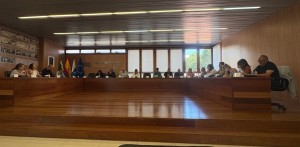 Ingenio aprueba los expedientes de contratacin del servicio de limpieza y la futura biblioteca 