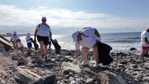 Cerca de cien voluntarios retiran tres toneladas de residuos del litoral de Arinaga y Vargas
