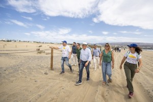 El Cabildo recupera el 85% del frente dunar con el proyecto Masdunas II
