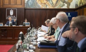 El Cabildo insta al Gobierno a escuchar a los opositores a las plantas de propano y biogs