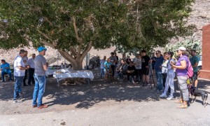 El Centro de Proteccin Animal de Santa Luca abre a voluntarios y visitantes el fin de semana 