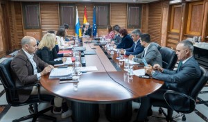 El Gobierno destaca la estabilidad y el modo canario como claves de su gestin