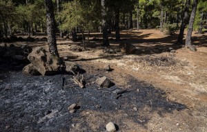 Gran Canaria en alerta por riesgo de incendios forestales