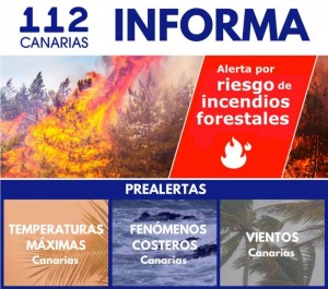 El fuerte viento eleva el riesgo de incendios forestales en Canarias