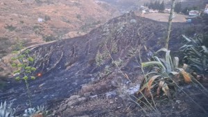 Controlado el incendio de Juncalillo de Gldar