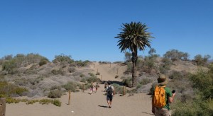 ImpulsaMaspalomas apuesta por la divulgacin audiovisual de las Dunas de Maspalomas