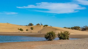San Bartolom de Tirajana, nico municipio canario con ayudas para renaturalizacin urbana
