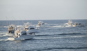 El Blue Marlin juega al escondite, pero el Naiss encuentra su guarida 