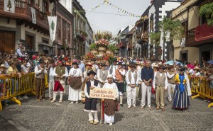 La Romera del Pino congrega a ms de 60.000 personas en un evento histrico