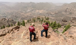 Gran Canaria declara la alerta por incendios forestales a partir de la cota de los 400 metros 