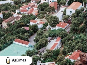 Temisas da inicio a las fiestas en honor a San Miguel Arcngel
