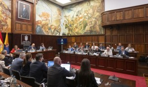 El Cabildo aprueba 1,5 millones para 24 proyectos del Plan de Subvenciones 2025