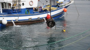 Mog�n retira m�s de 3 toneladas de residuos de los fondos marinos de sus puertos